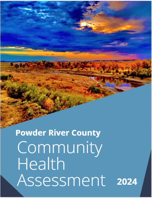 Community Health Assessment cover with river